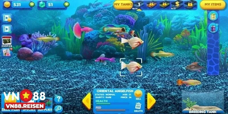 Cổng Game Bắn Cá Android Siêu Hấp Dẫn Và Chân Thực 2 Cổng game bắn cá Android mang đến sự tiện lợi cho người chơi